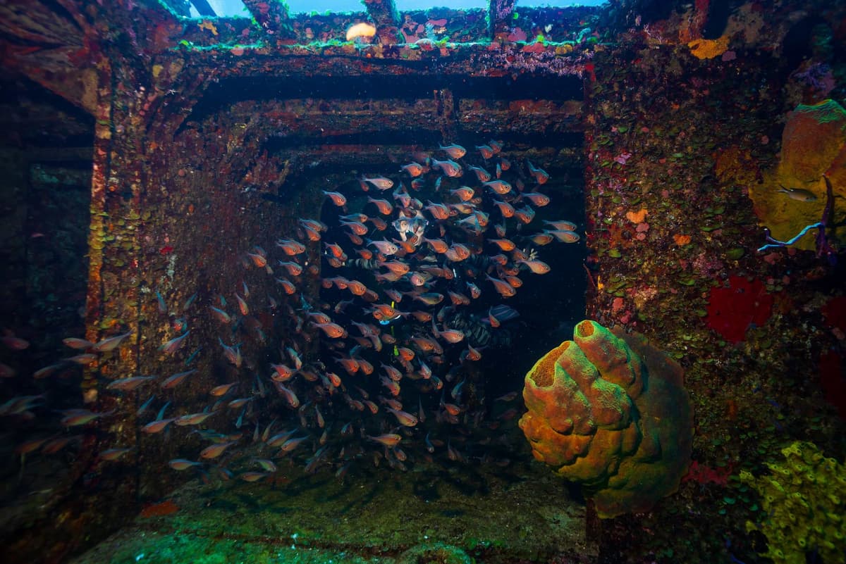 Beach at Allegro Cozumel