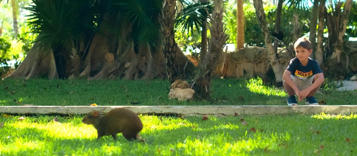 Resort exterior at Allegro Playacar