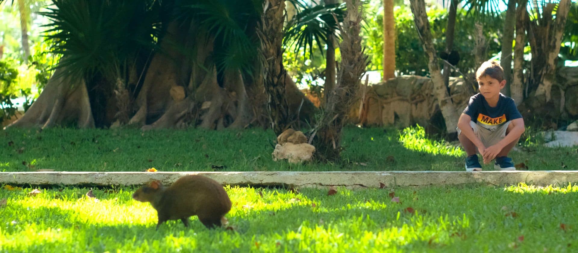 Resort exterior at Allegro Playacar