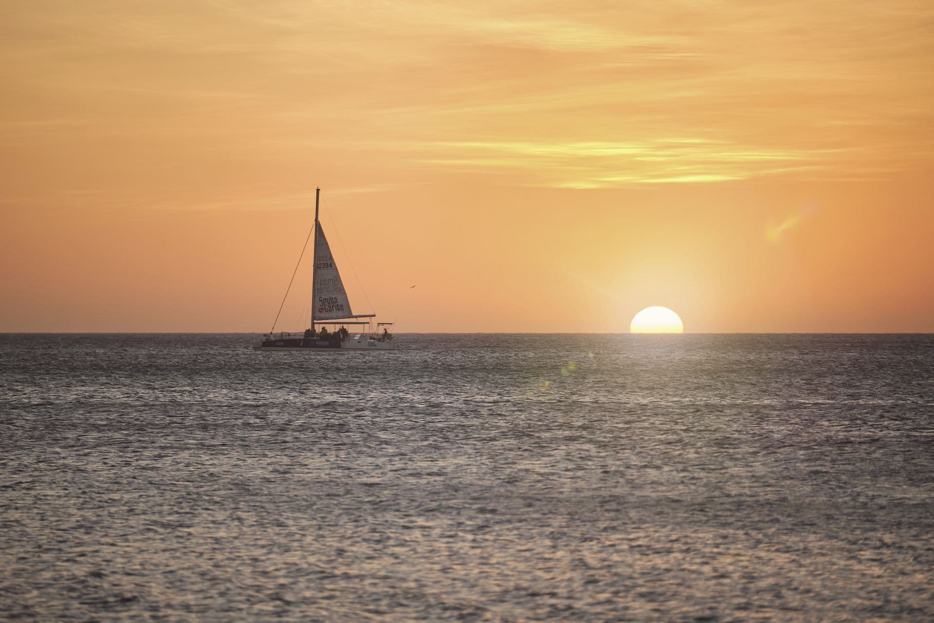 Barceló Aruba Exterior & Grounds