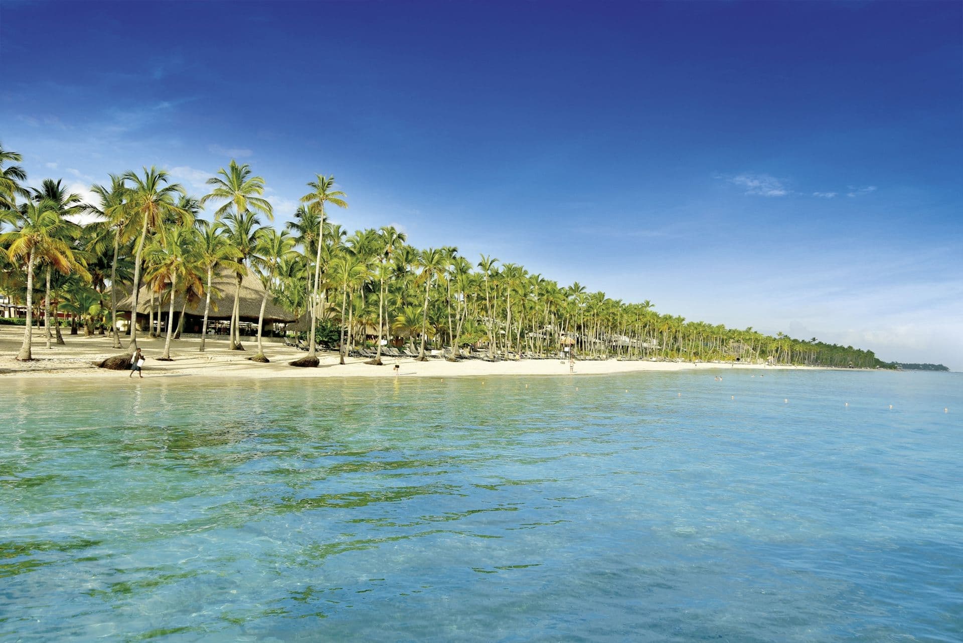 Barceló Bávaro Palace Activities
