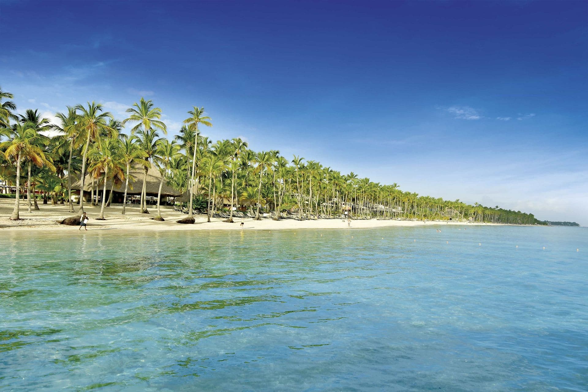 Barceló Bávaro Palace Activities