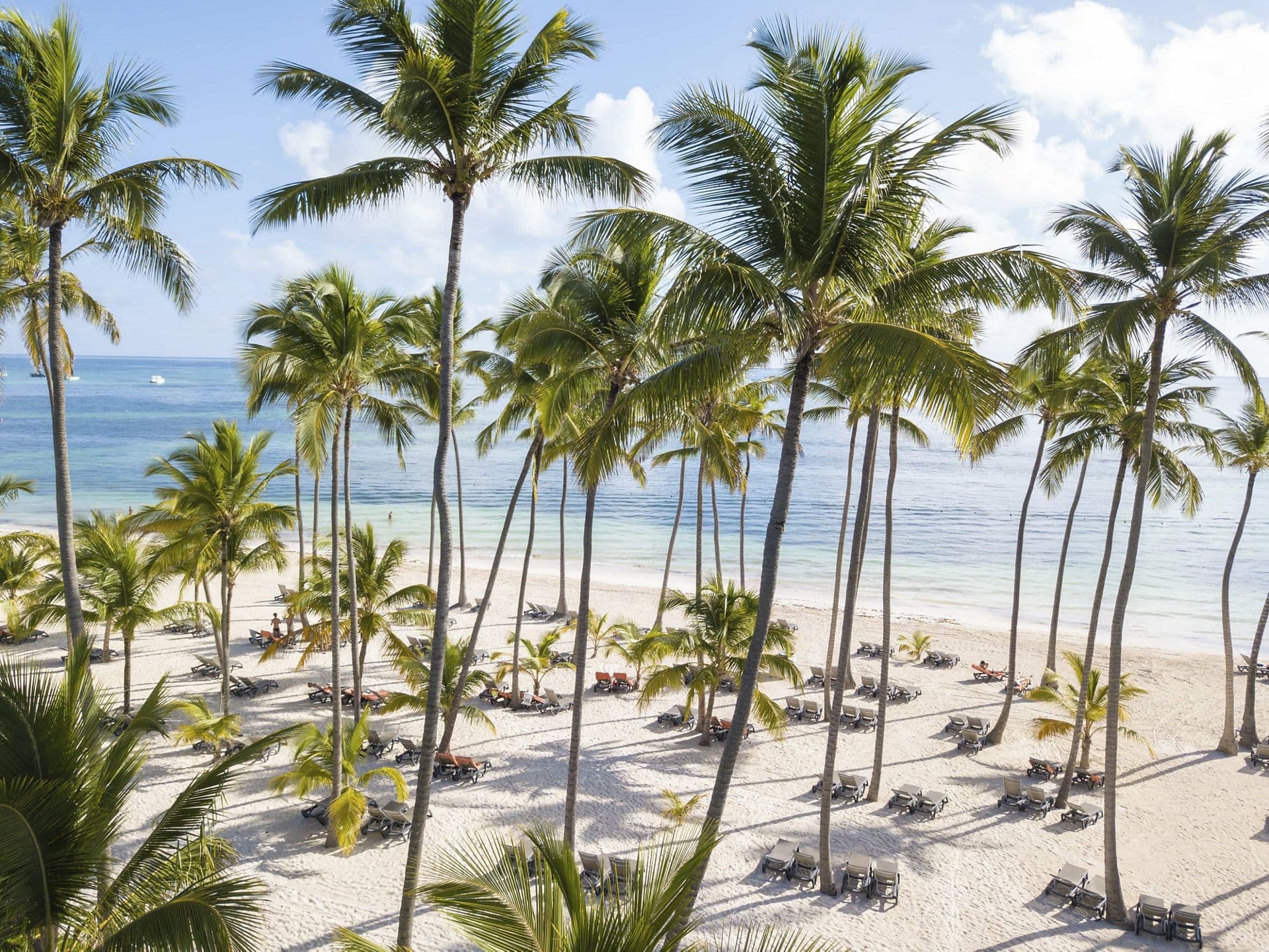 Barceló Bávaro Palace Exterior & Grounds