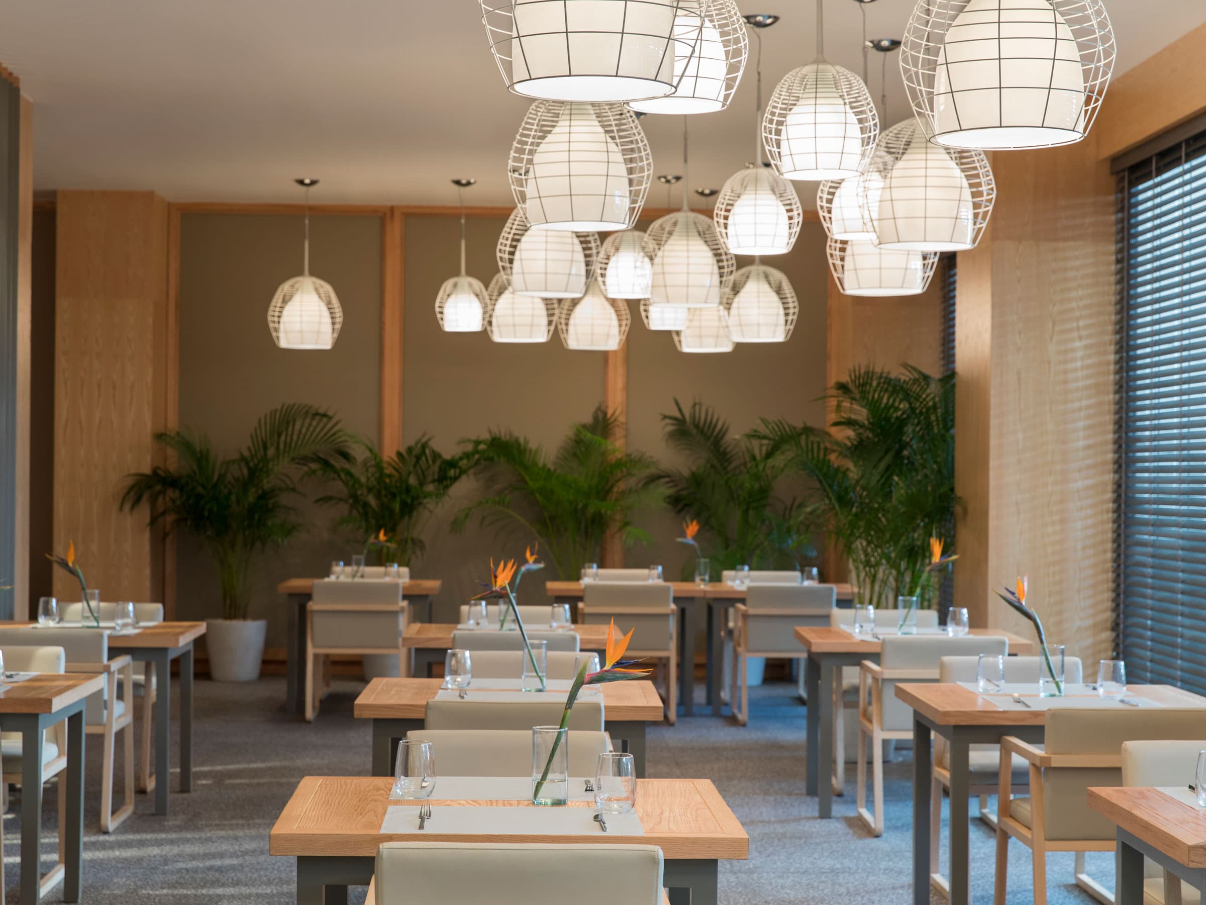 Lupita Steakhouse with sophisticated dining atmosphere