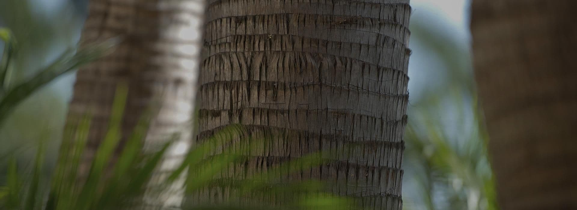 Blue Diamond Luxury Boutique Hotel Exterior & Grounds