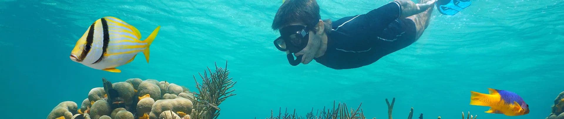 BlueBay Grand Esmeralda Activities