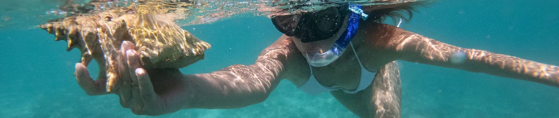 BlueBay Villas Doradas Activities