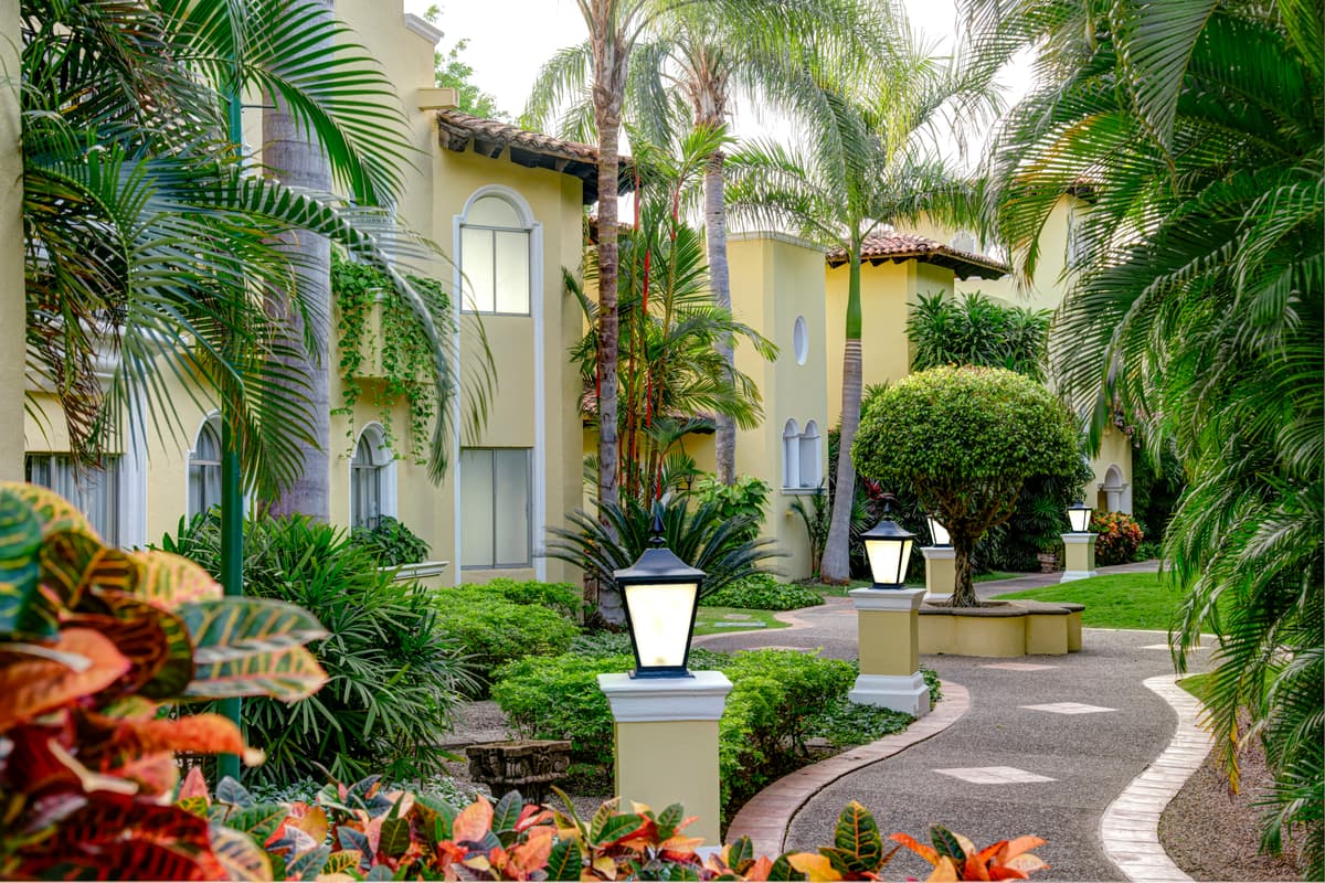 Lush tropical corridor with bougainvillea and palms