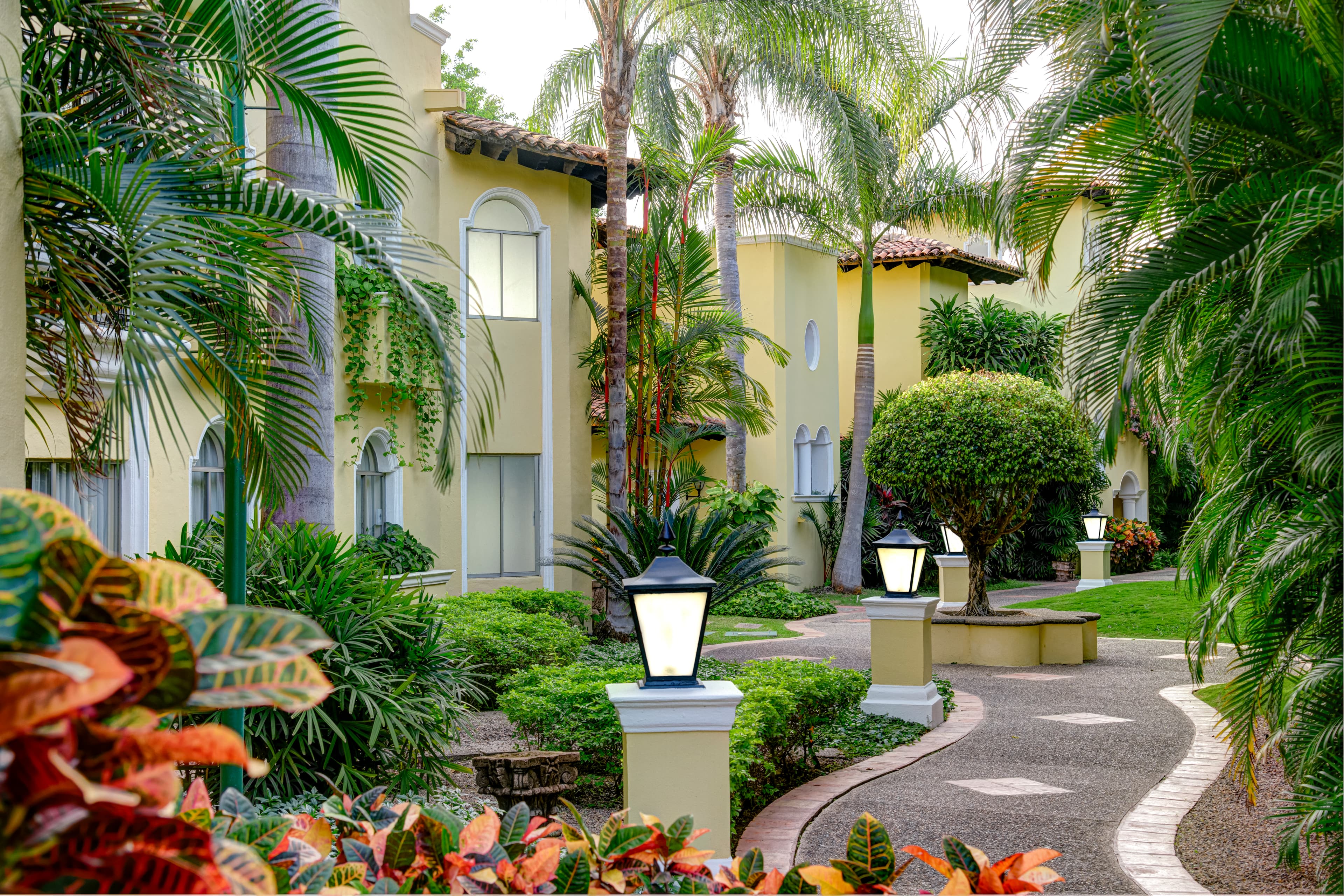Lush tropical corridor with bougainvillea and palms