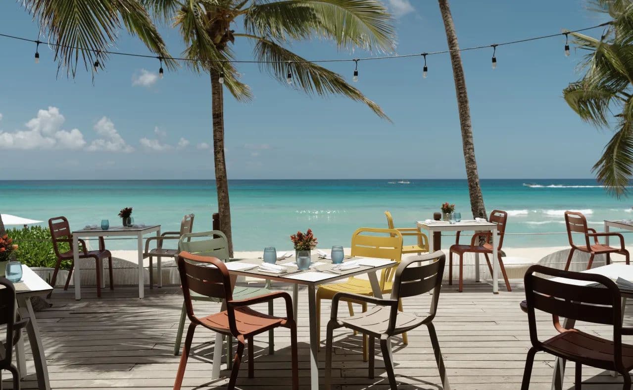 Catalonia Bayahibe Dining & Restaurants