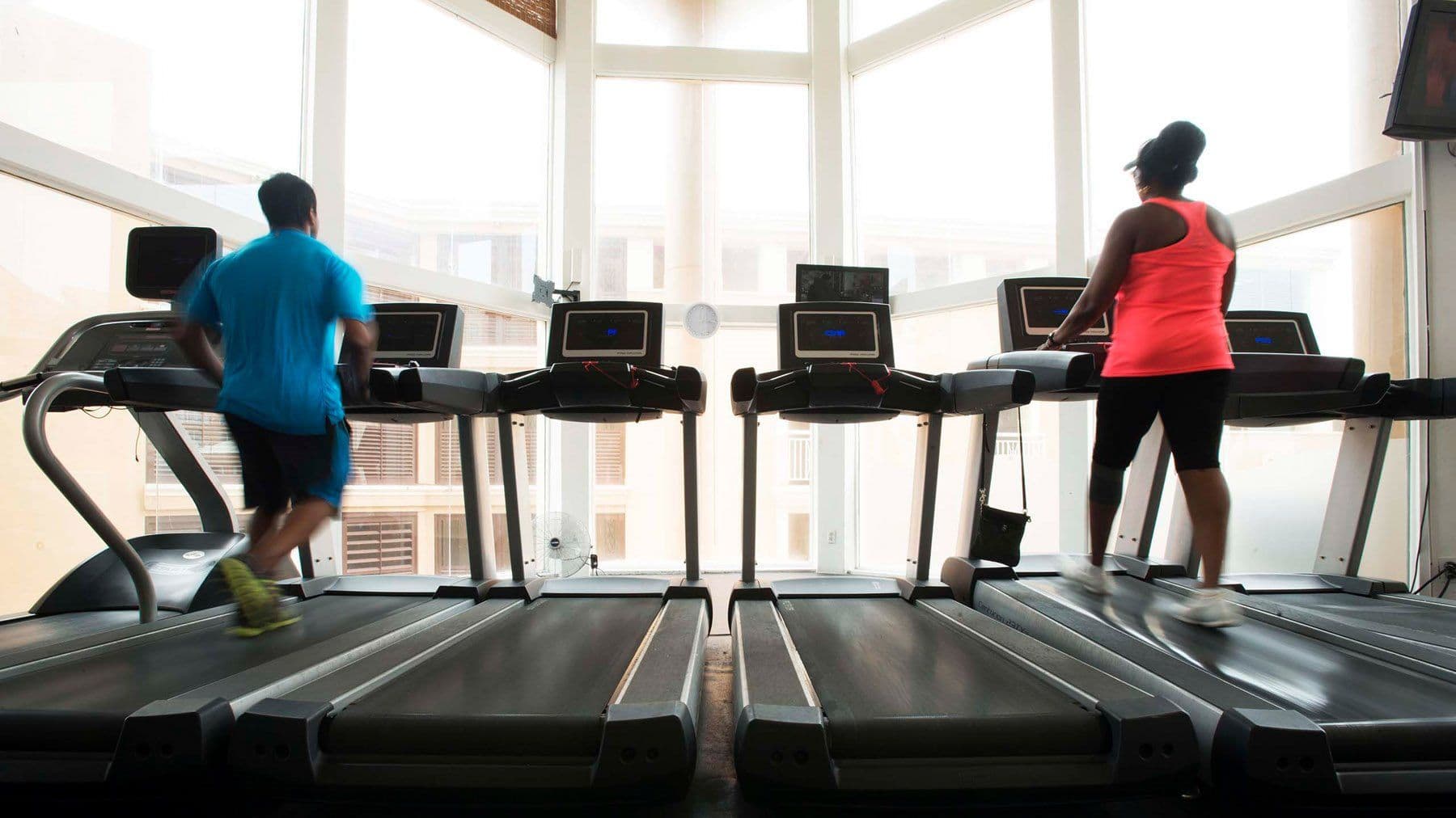 Divi Aruba All Inclusive Activities