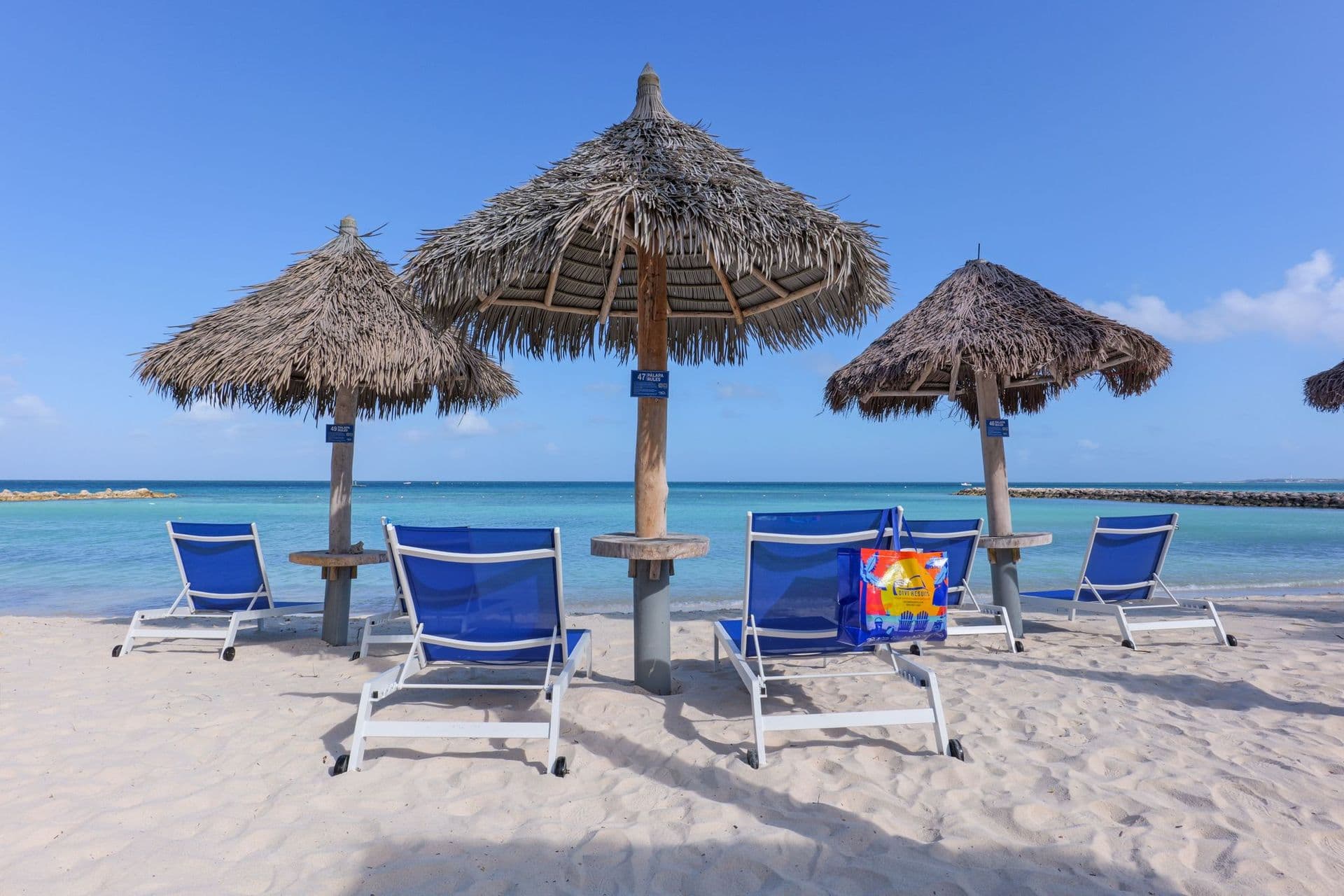 Divi Aruba Phoenix Beach Resort Dining & Restaurants