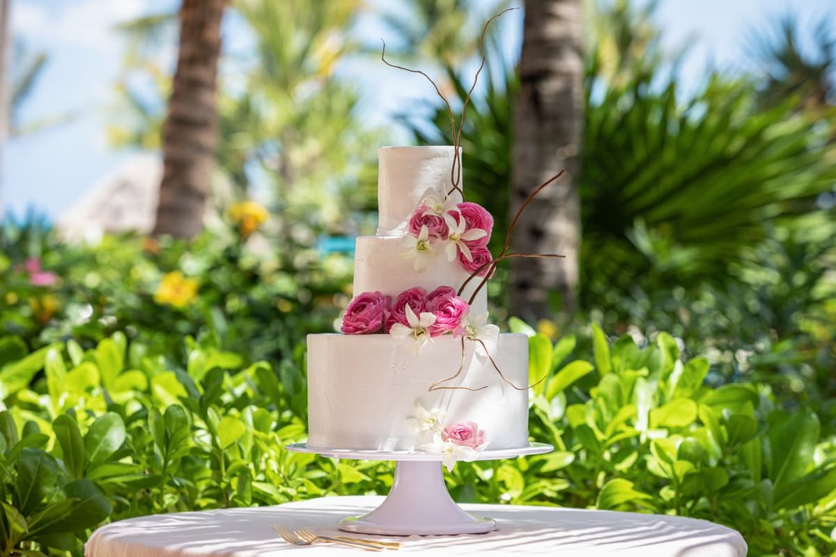 Activities at Excellence Punta Cana