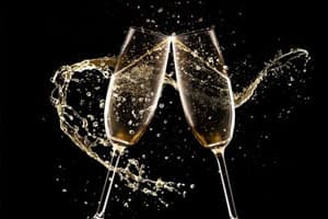 Eclipse rooftop sky bar with panoramic sunset views, modern lounge furniture, and nightly DJ performances