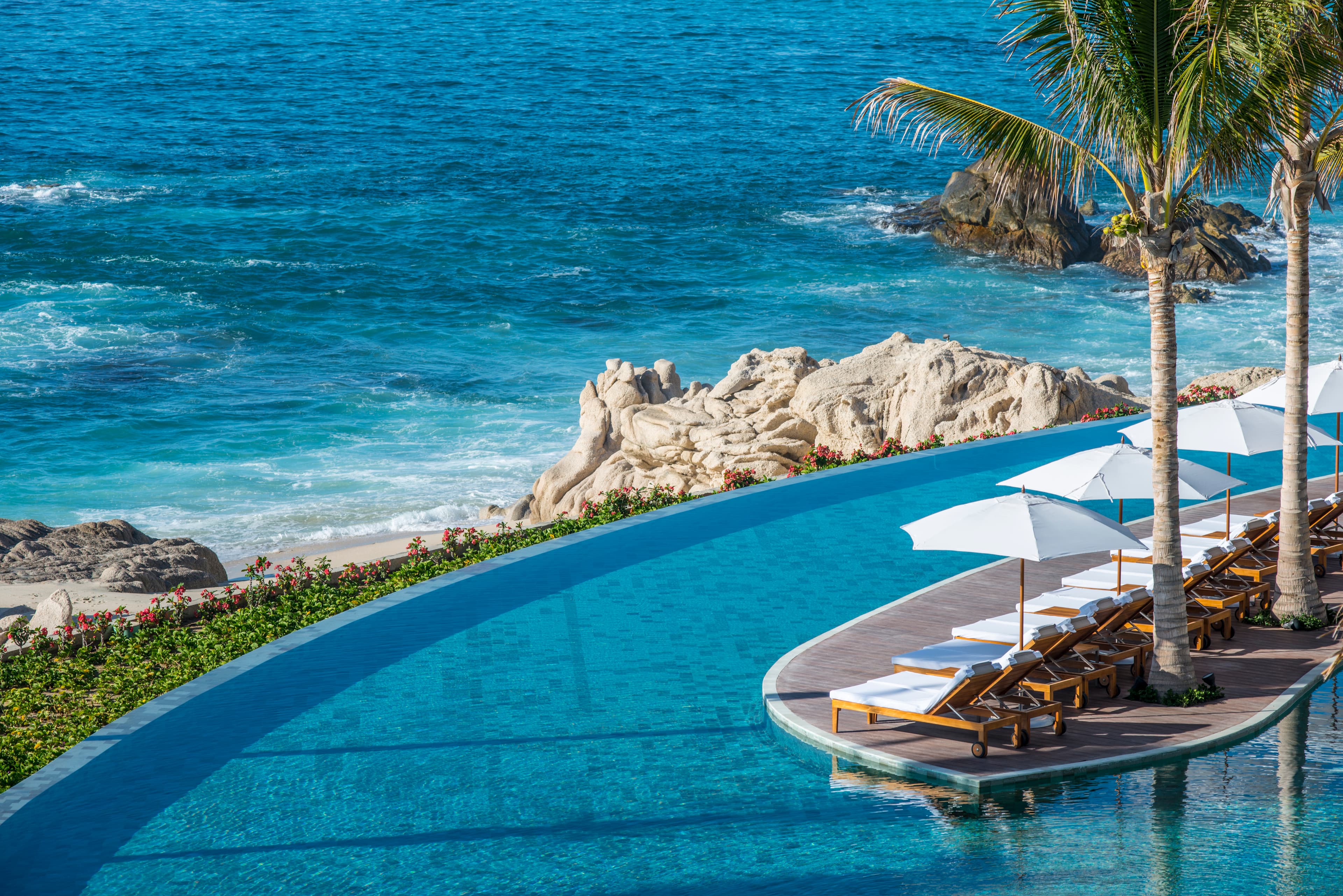 Adults-only infinity pool with panoramic Sea of Cortez views