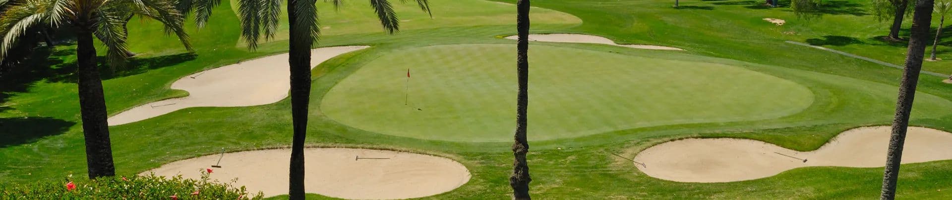 Hotel BlueBay Banus Activities