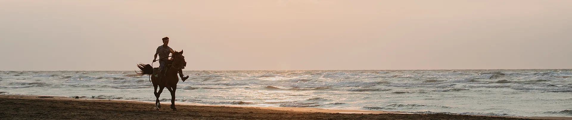 Hotel BlueBay Banus Activities