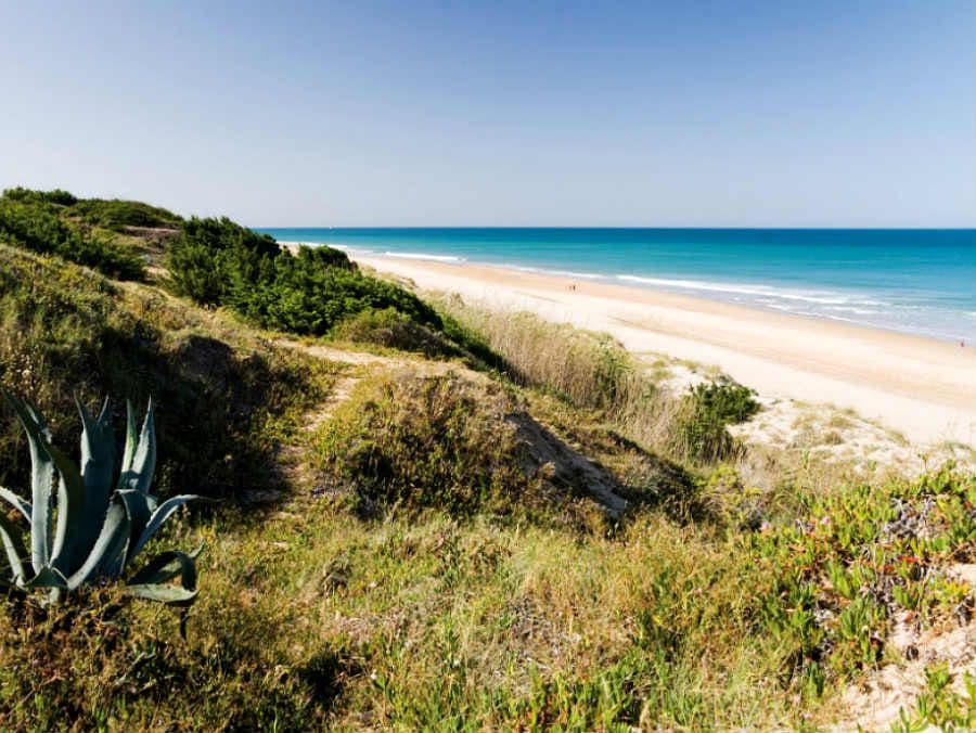Beach at Hotel Riu Chiclana