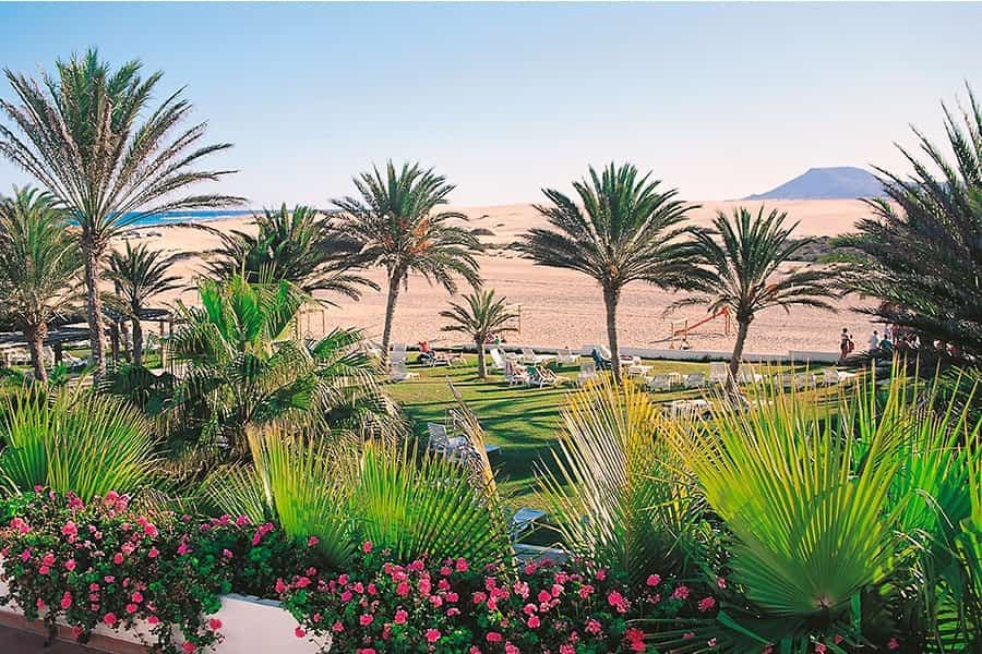 Beach at Hotel Riu Oliva Beach Resort