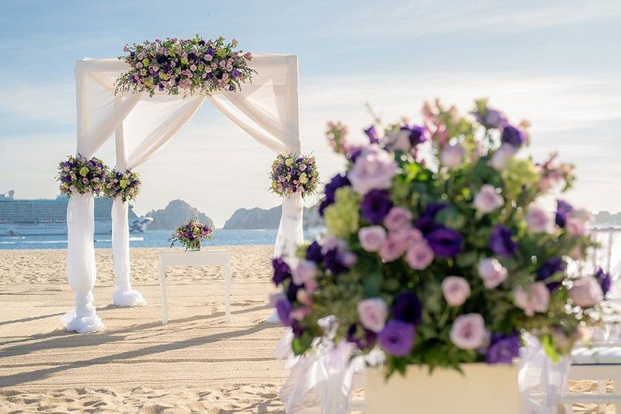 Activities at Hotel Riu Palace Cabo San Lucas