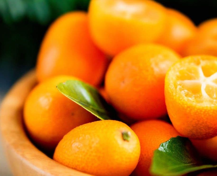 Restaurant at Ikos Dassia