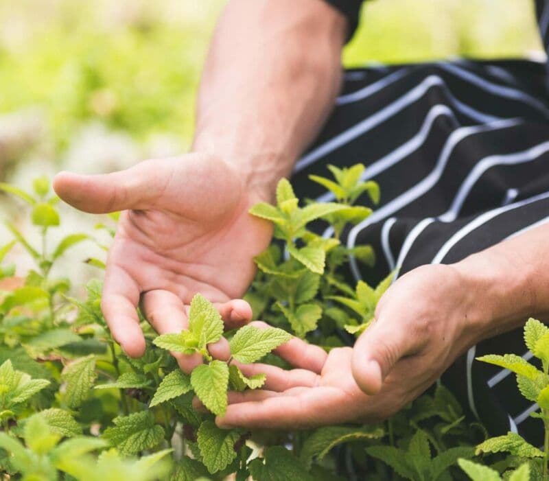 Restaurant at Ikos Oceania