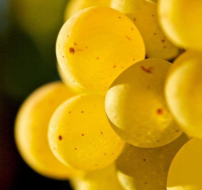 Restaurant at Ikos Oceania