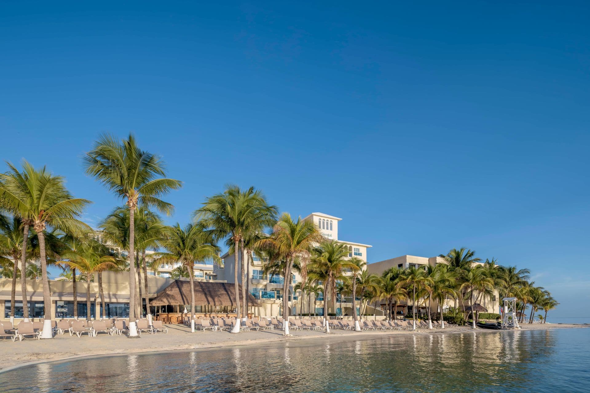 Occidental Costa Cancún Dining & Restaurants