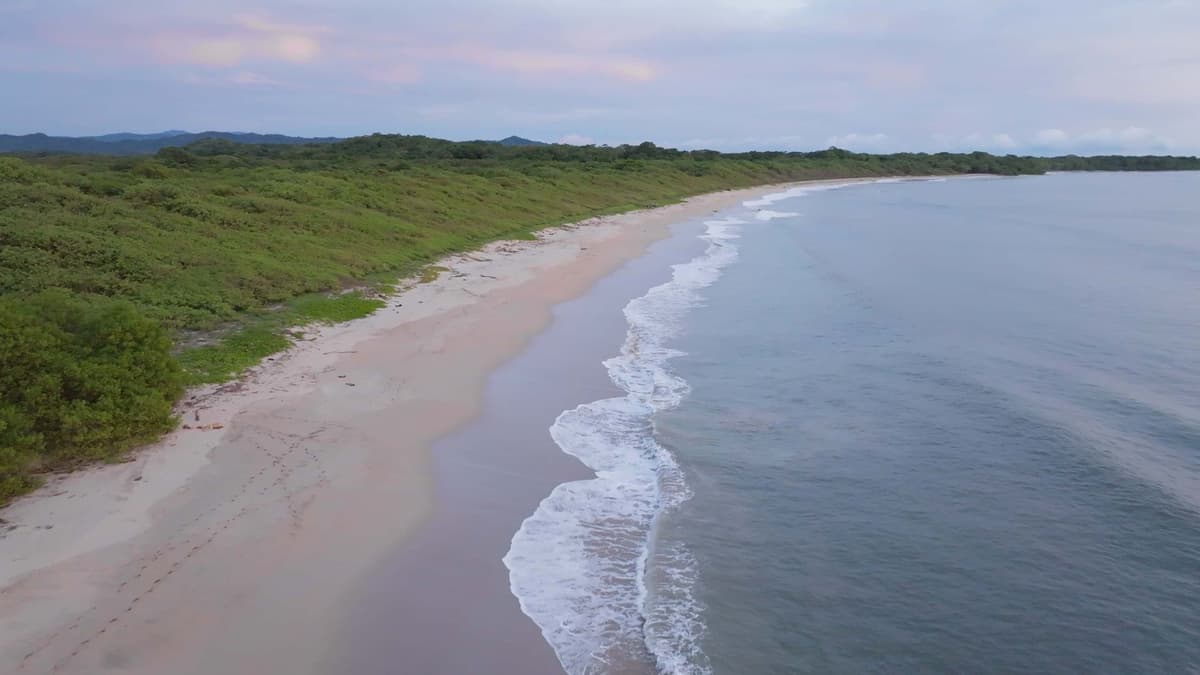 Resort exterior at Occidental Tamarindo