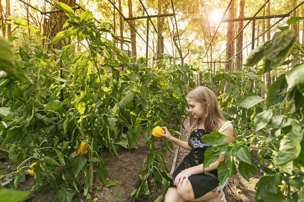 Activities at Rixos Sungate - The Land Of Legends Access