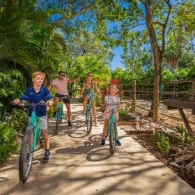 Beach at Sandos Playacar All Inclusive