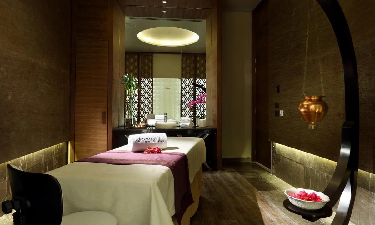 Zentropia Palladium Spa & Wellness at TRS Coral with premium treatment rooms and hydrotherapy circuit