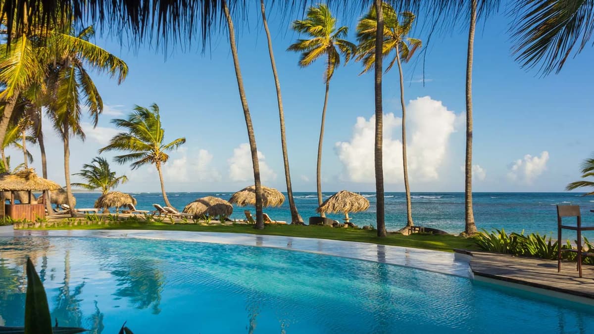 Oceanfront infinity pool overlooking the beach with palm-shaded loungers and Caribbean Sea views