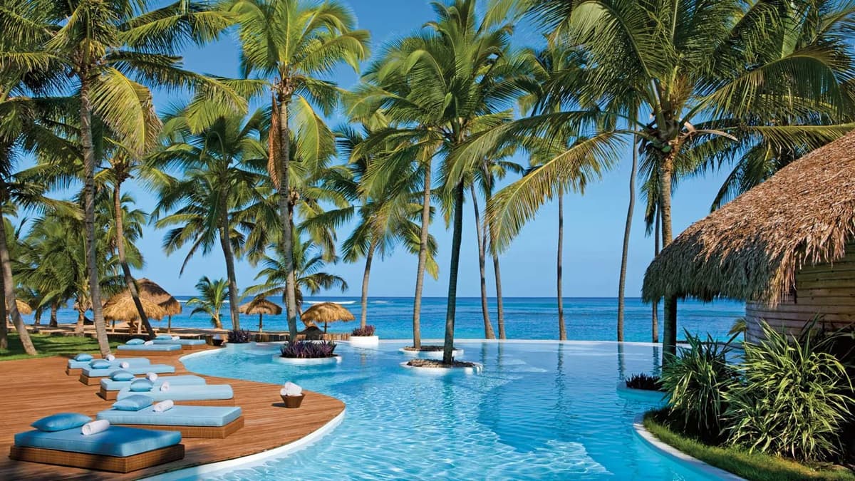 Beachfront infinity pool flanked by palm trees with Caribbean ocean views and palapa swim-up bar