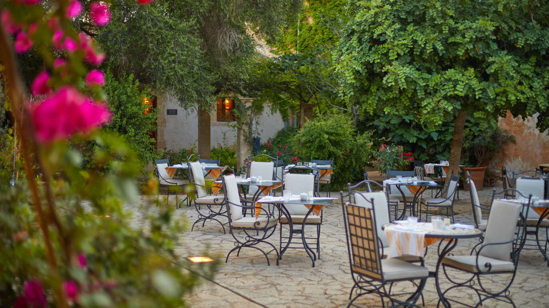 Al fresco garden restaurant terrace with wrought-iron chairs, bougainvillea blooms, and mature Mediterranean trees at dusk