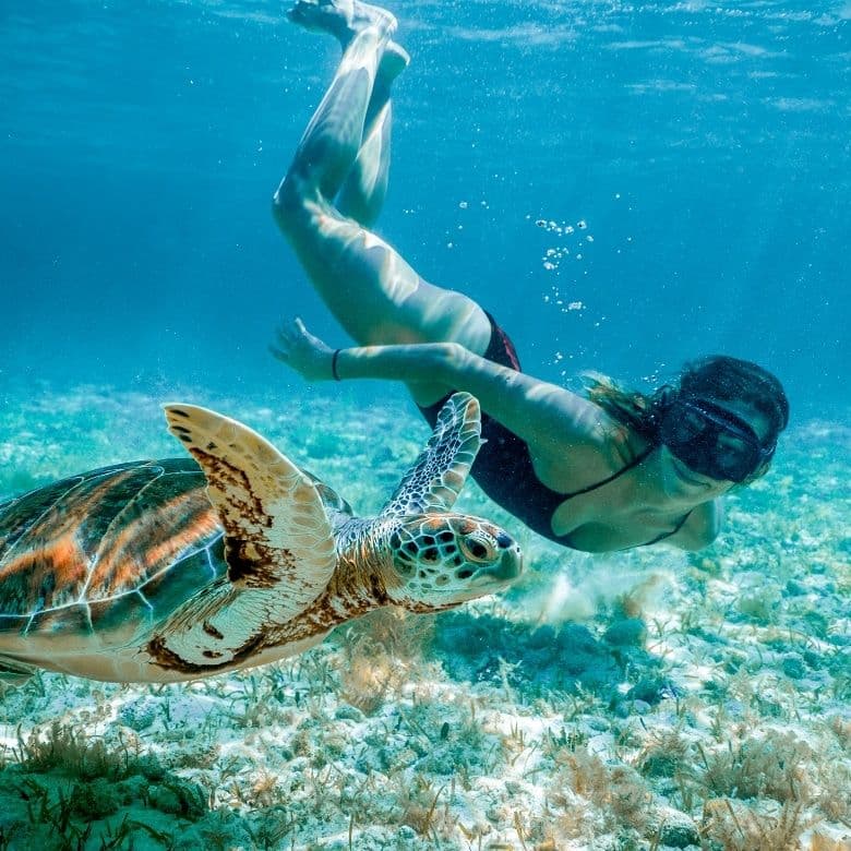 Swimming pool at Beaches Turks & Caicos Resort Villages & Spa
