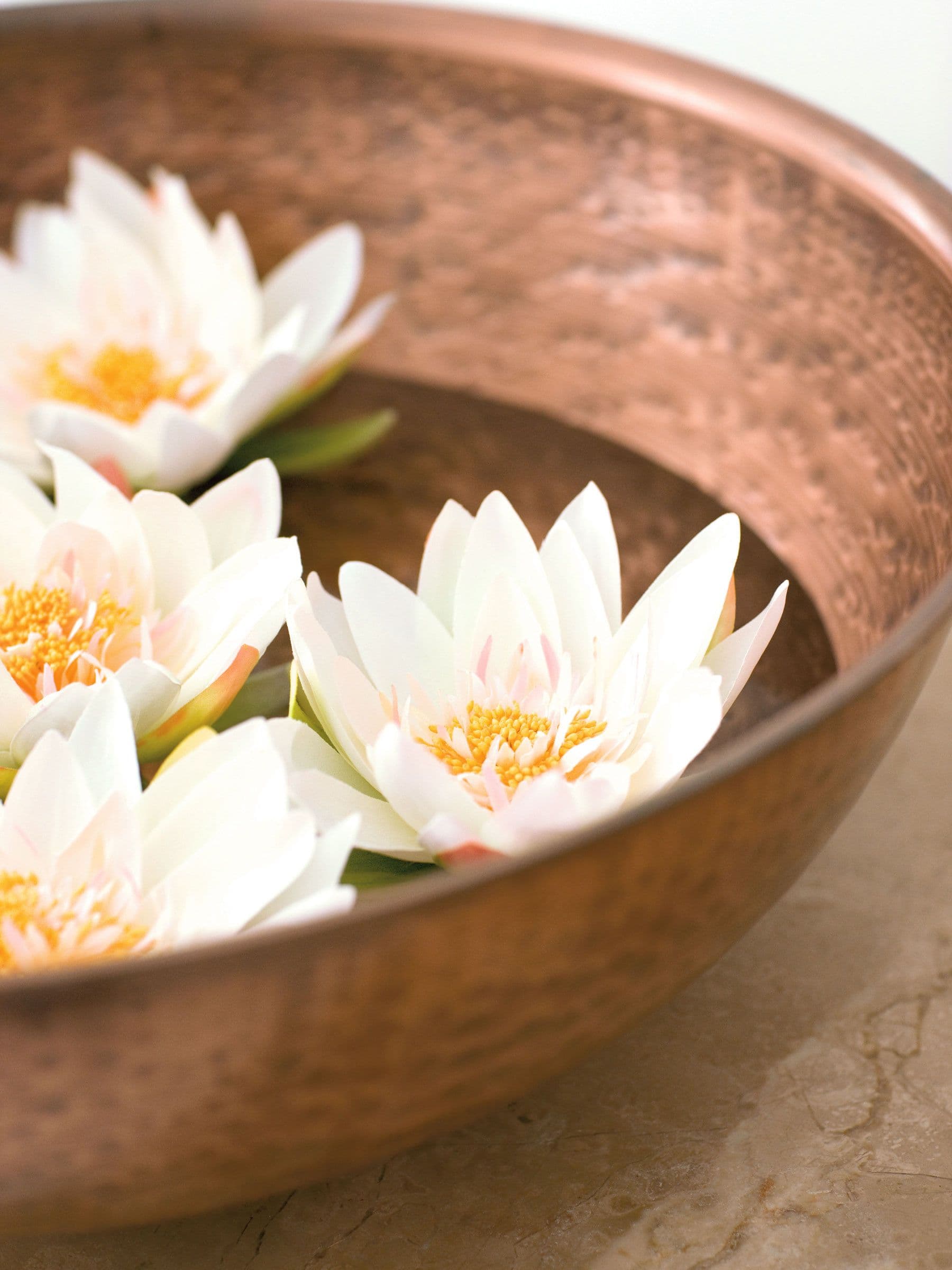 Spa & wellness at Excellence Playa Mujeres