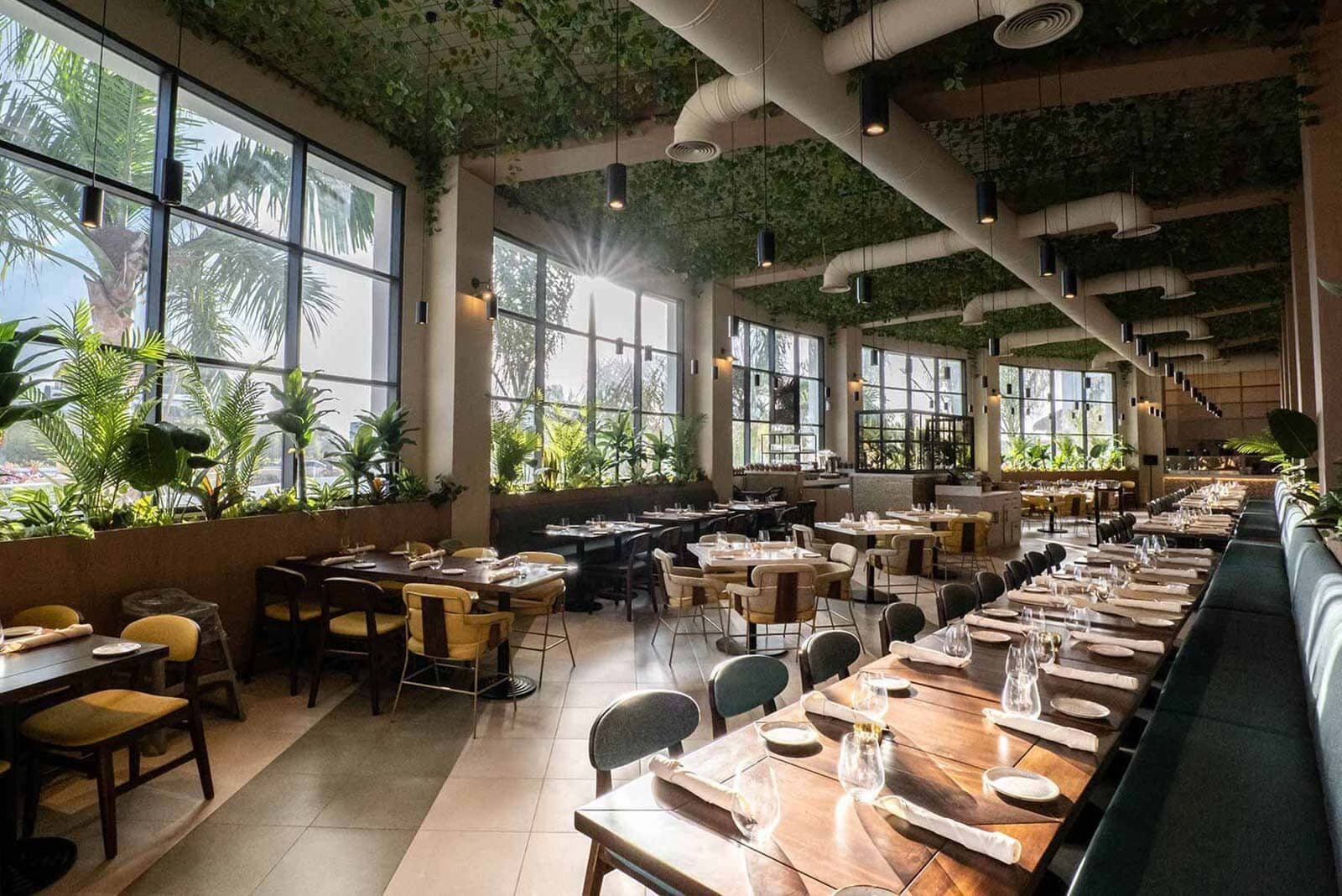 Hard Rock Hotel & Casino Punta Cana Dining & Restaurants