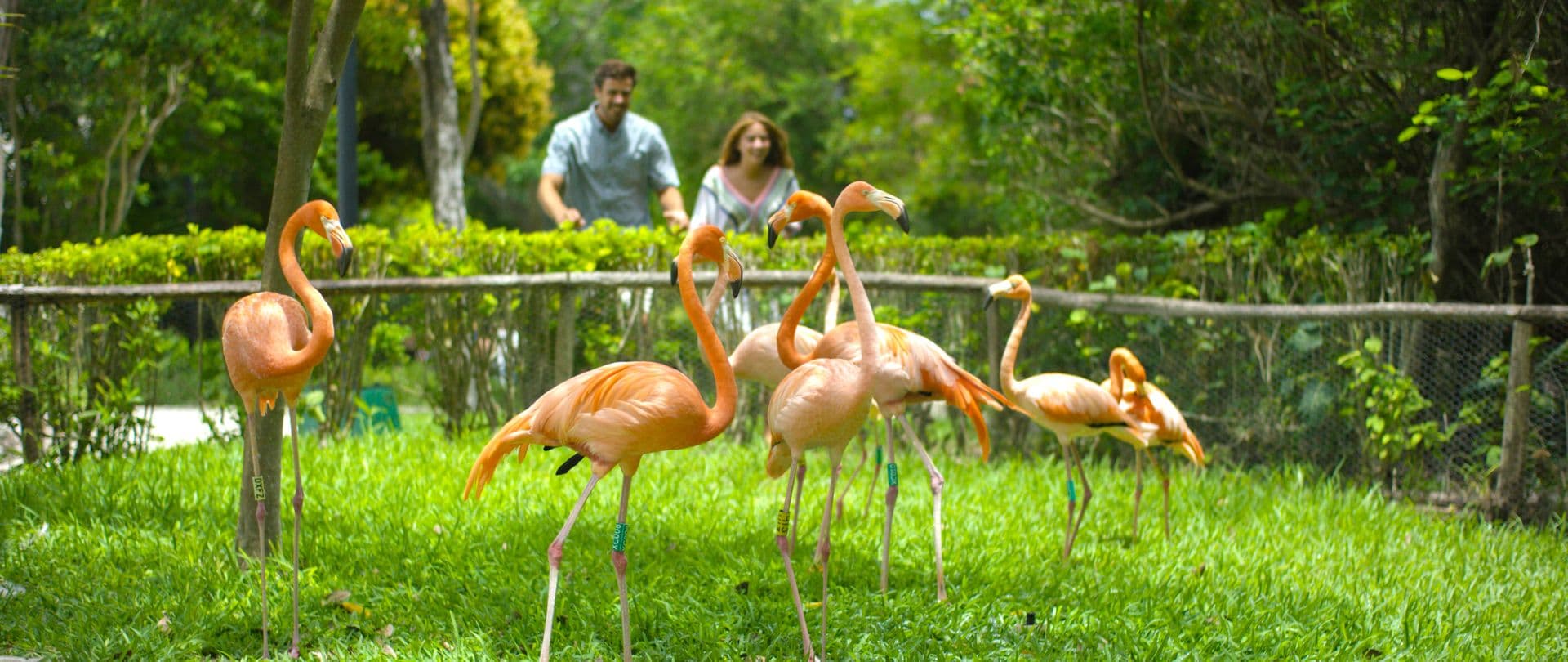 Resort exterior at Occidental at Xcaret Destination