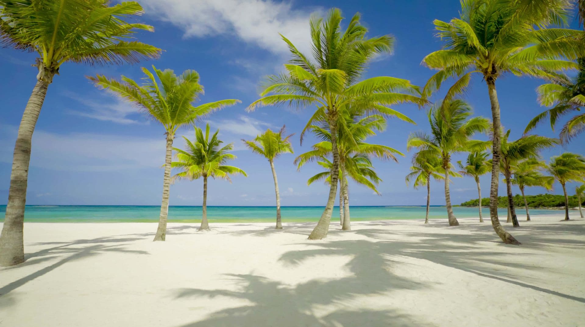 Beach at Occidental Tamarindo