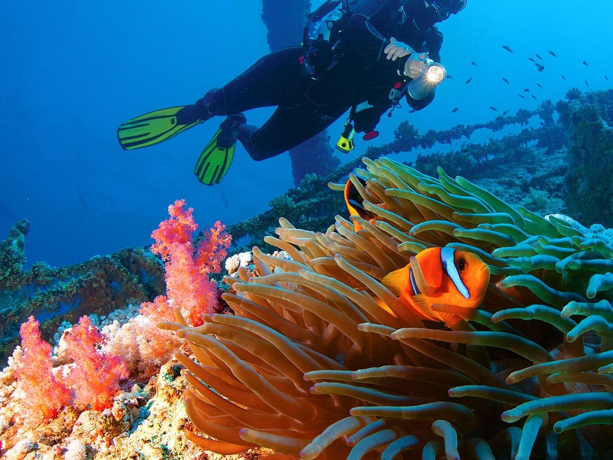 Sultan Sands Island Resort & Spa Activities