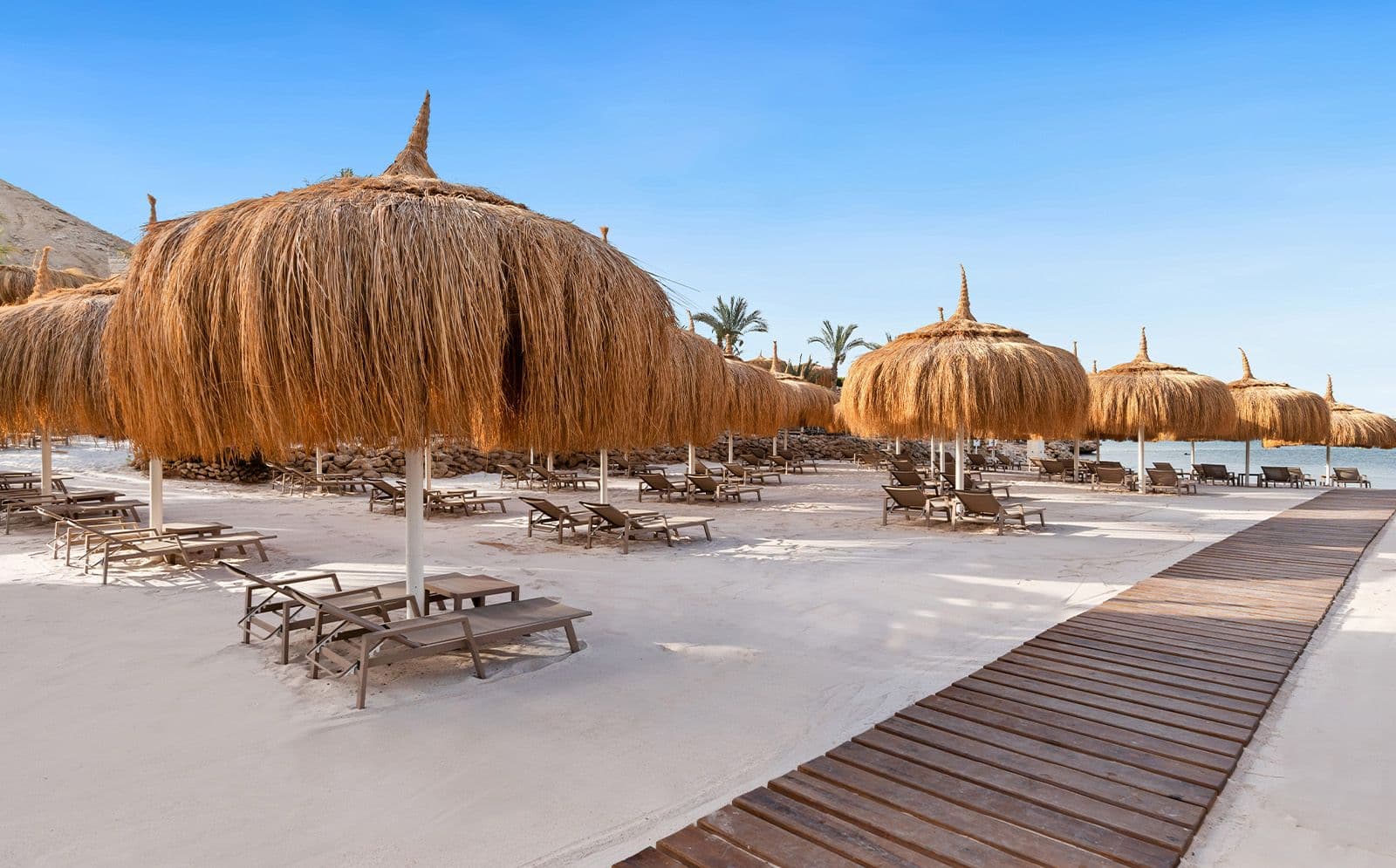 Swissôtel Sharm El Sheikh All Inclusive Collection Rooms & Suites