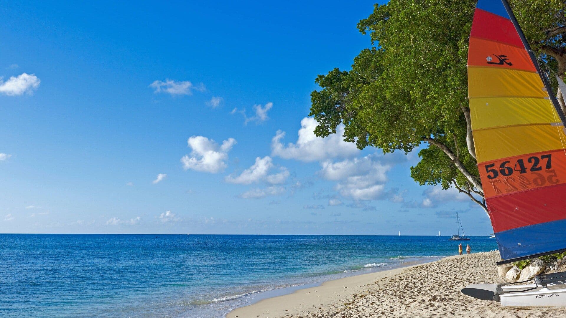 Tamarind, Barbados, An Autograph Collection All Inclusive Resort Activities
