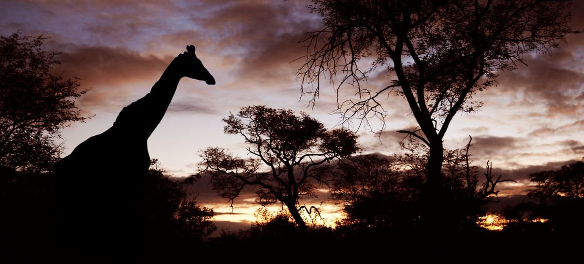 Club Med Vikela Safari Lodge Exterior & Grounds