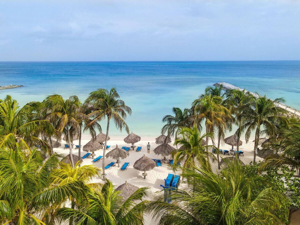 Divi Aruba Phoenix Beach Resort Activities