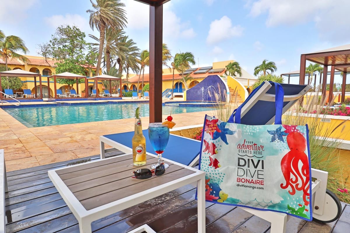 Divi Flamingo Beach Resort & Casino Pools
