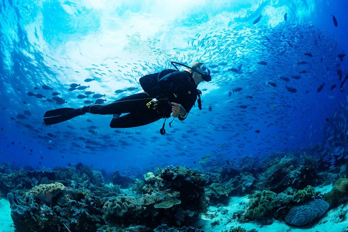 Pullman Maldives Maamutaa Activities
