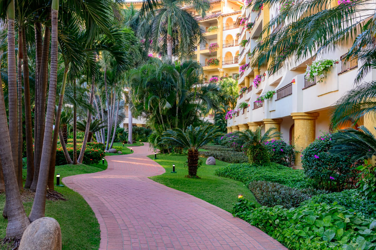 Lush tropical gardens with mature palms and flowering plants